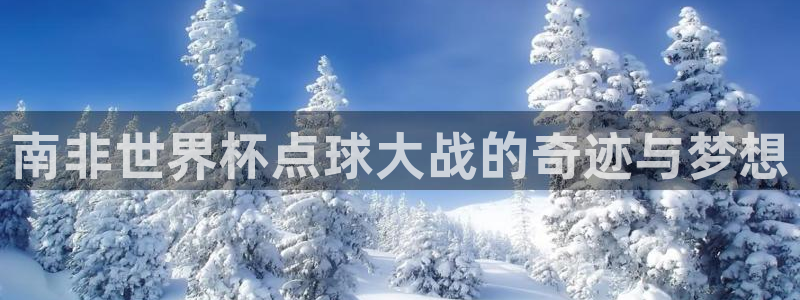 世界杯预选赛欧洲区赛程：南非世界杯点球大战的奇迹与梦想