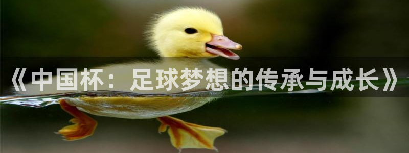 世界杯直播：《中国杯：足球梦想的传承与成长》
