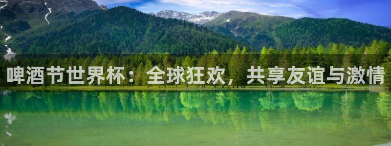 2026世界杯南美区积分榜：啤酒节世界杯：全球狂欢，共享友谊与激情