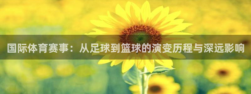 世界杯球队：国际体育赛事：从足球到篮球的演变历程与深远影响