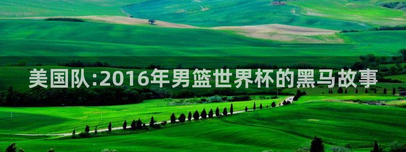2026世界杯亚洲区预选赛：美国队:2016年男篮世界杯的黑马故事