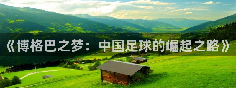 足球杯：《博格巴之梦：中国足球的崛起之路》