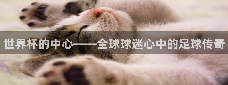 世界杯比赛：世界杯的中心——全球球迷心中的足球传奇