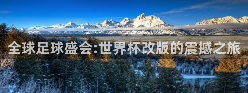世界杯球队排名：全球足球盛会:世界杯改版的震撼之旅