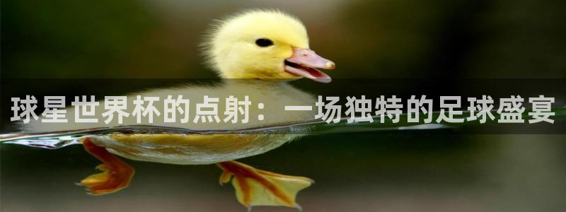 世界杯球队：球星世界杯的点射：一场独特的足球盛宴