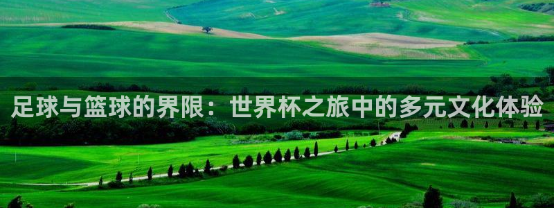2026男足世界杯：足球与篮球的界限：世界杯之旅中的多元文化体验