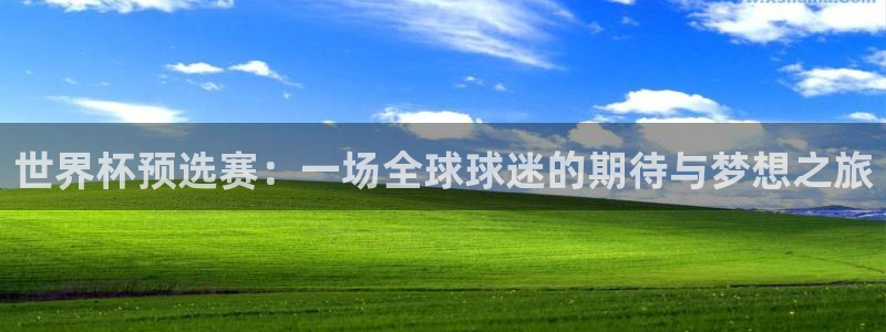 2006世界杯：世界杯预选赛：一场全球球迷的期待与梦想之旅