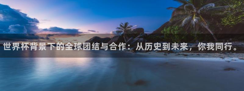 世界杯官网入口：世界杯背景下的全球团结与合作：从历史到未来，你我同行。