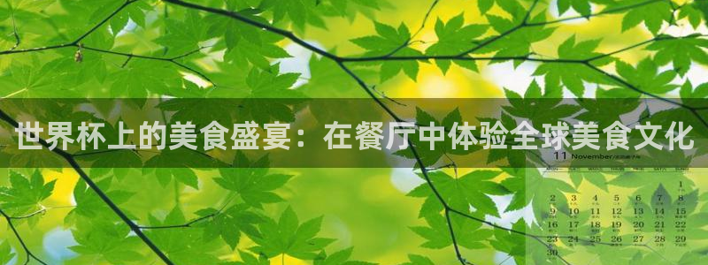 世界杯预选赛赛程表：世界杯上的美食盛宴：在餐厅中体验全球美食文化