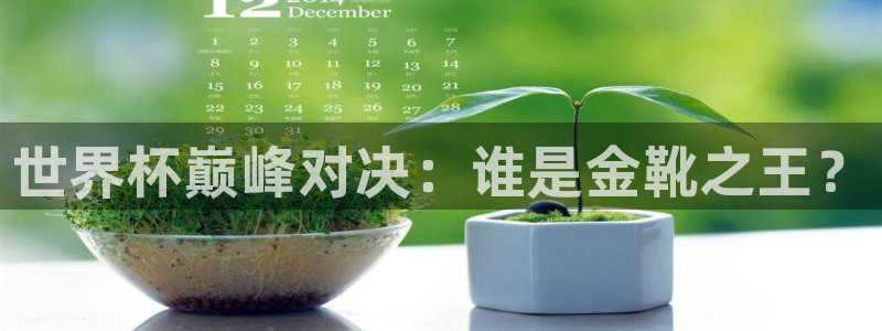 世界杯 中国：世界杯巅峰对决：谁是金靴之王？