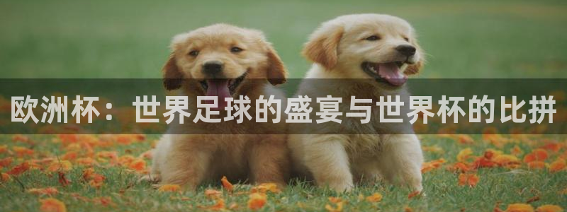 世界杯比赛：欧洲杯：世界足球的盛宴与世界杯的比拼