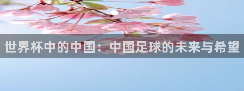 2026足球世界杯赛程时间表：世界杯中的中国：中国足球的未来与希望