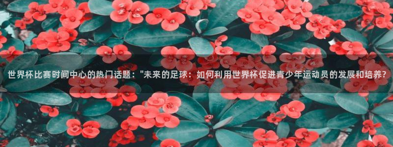 美国世界杯：世界杯比赛时间中心的热门话题：\