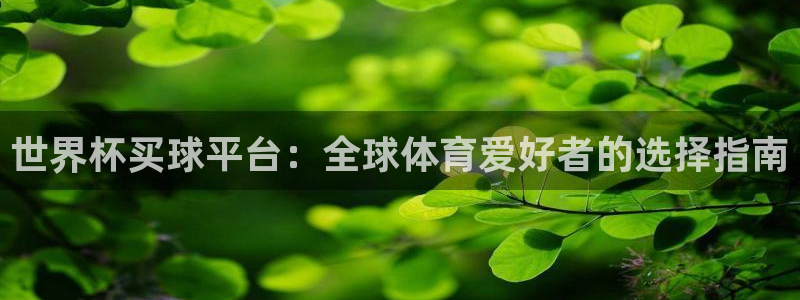 澳门世界杯直播：世界杯买球平台：全球体育爱好者的选择指南